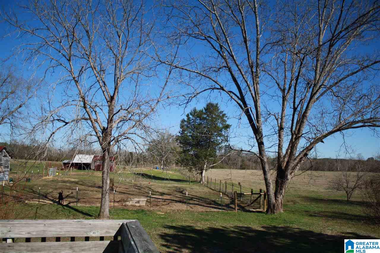 9502 County Road 15 Clanton, AL 35045 - Photo 28 of 34