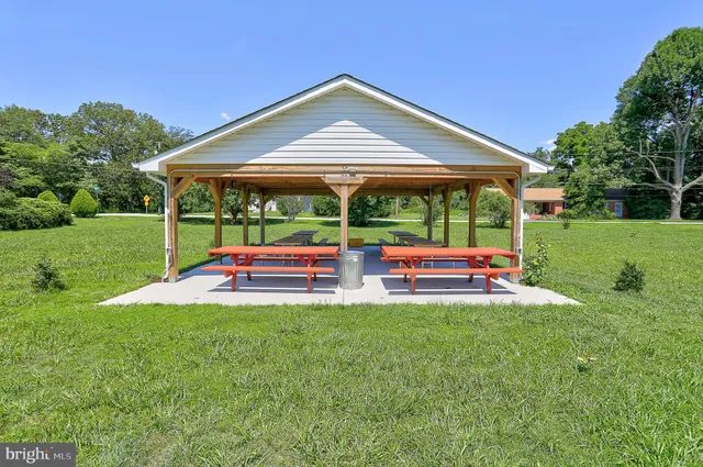 a view of a swimming pool with a yard and plants