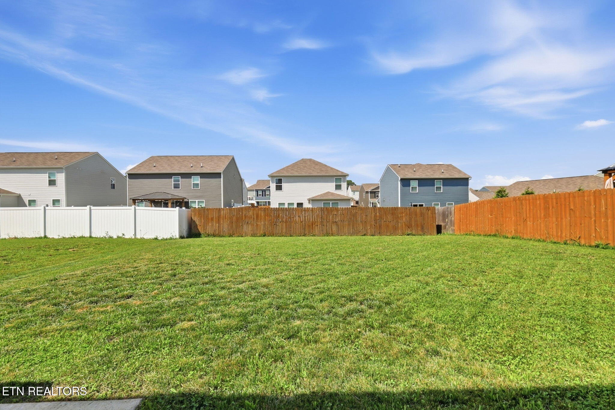 7523 Game Bird Street Corryton, TN 37721 - Photo 50 of 54 54-web-or-mls-3F1A6004