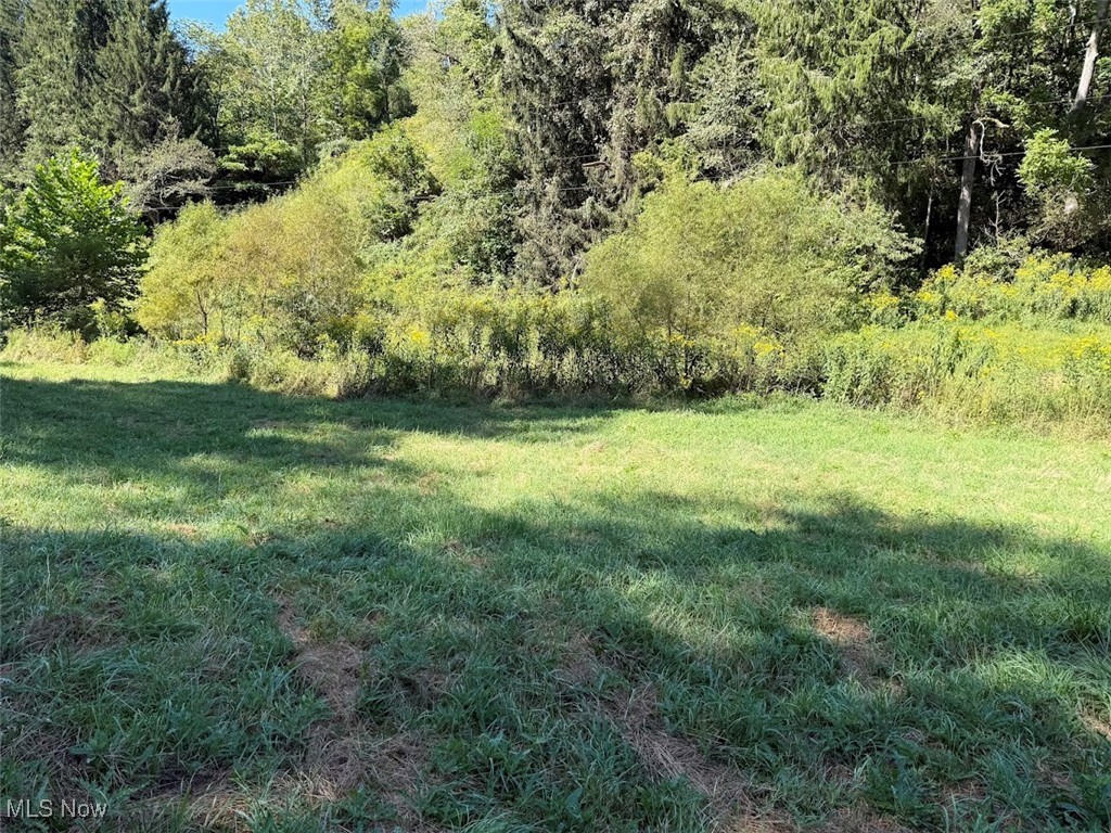 1985 Browns Run Road Littleton, WV 26581 - Photo 5 of 31 View of green lawn