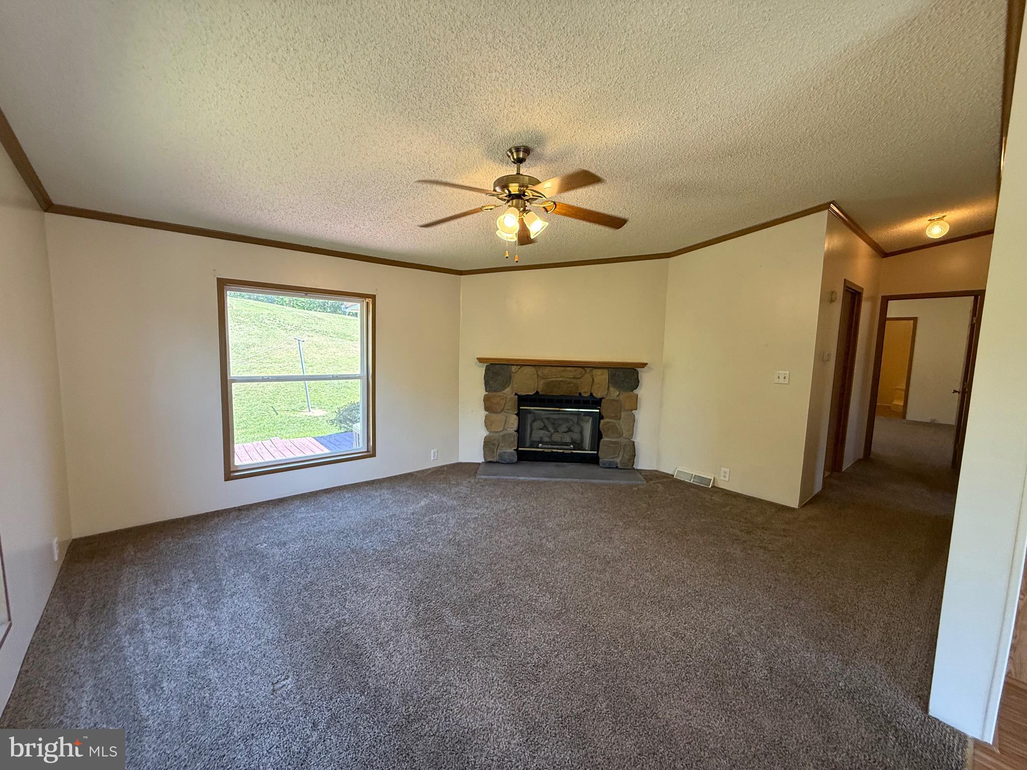 1829 Mozer Road Upper Tract, WV 26866 - Photo 17 of 67 Family Room with Gas Log Fireplace