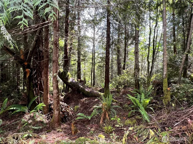 a view of outdoor space and covered with trees