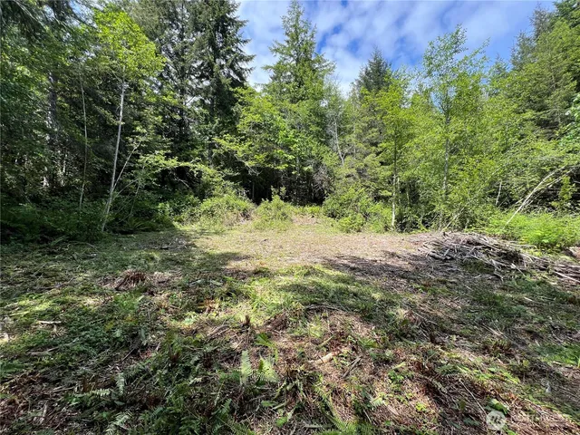 a view of a yard with a tree