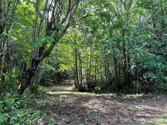 a view of outdoor space and trees