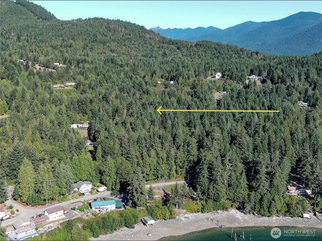 a view of a forest with a street
