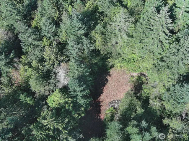 an aerial view of residential house with outdoor space and trees all around