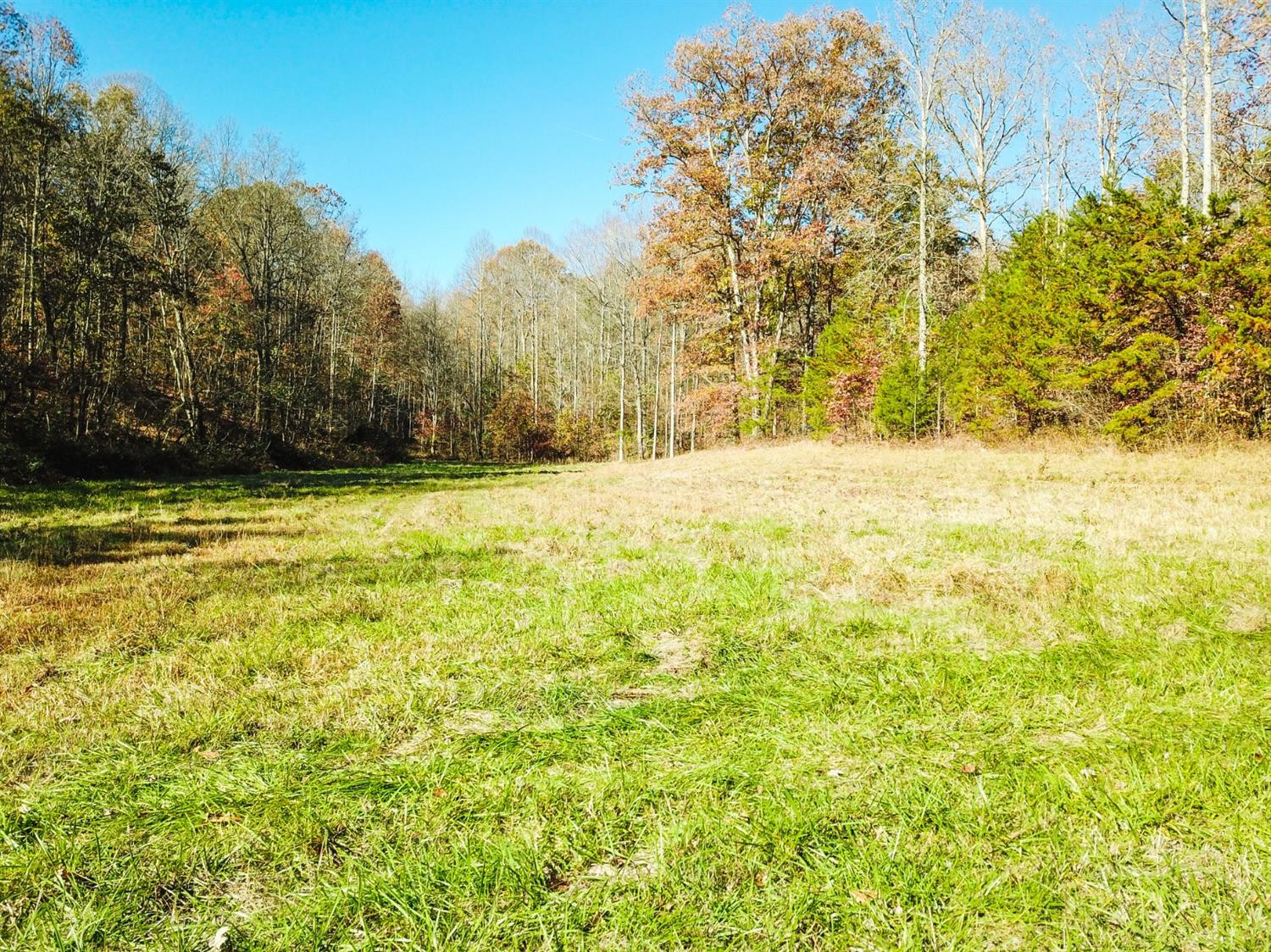 999 Red Davidson Road McKee, KY 40447 - Photo 2 of 45 Photo 2