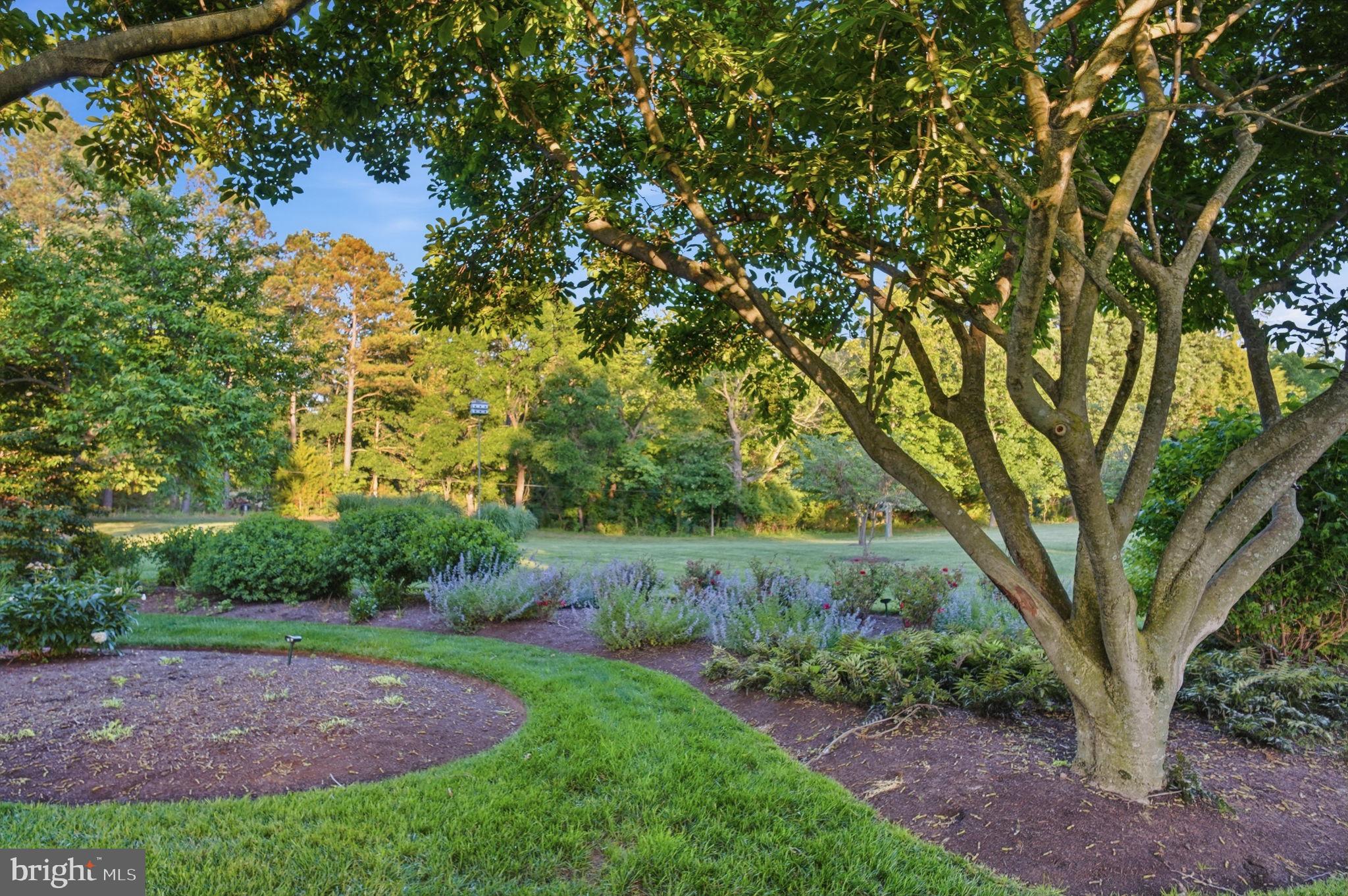 2800 Bennett Point Road Queenstown, MD 21658 - Photo 47 of 56