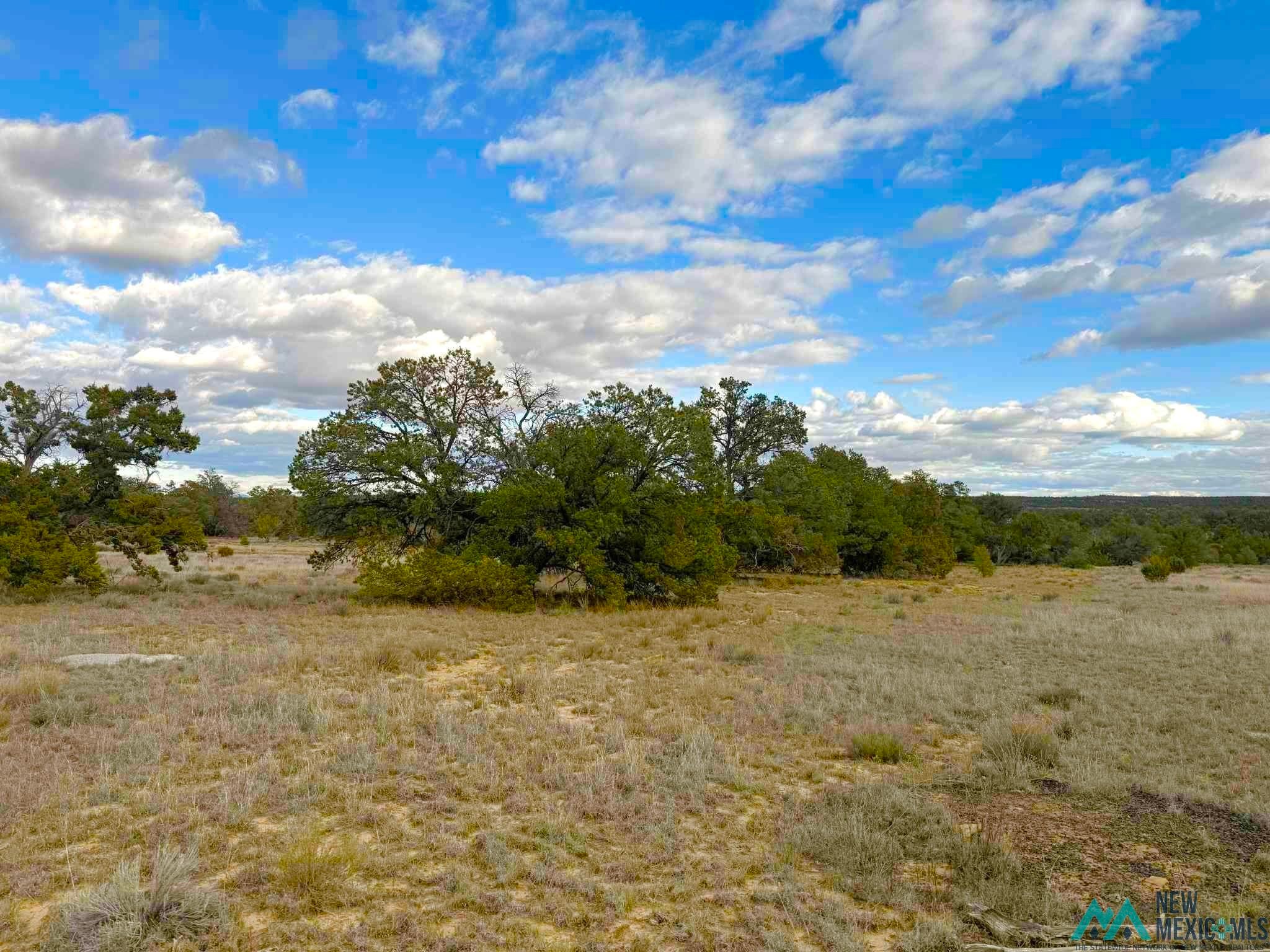 98 Great White Father Road Ramah, NM 87357 - Photo 9 of 16