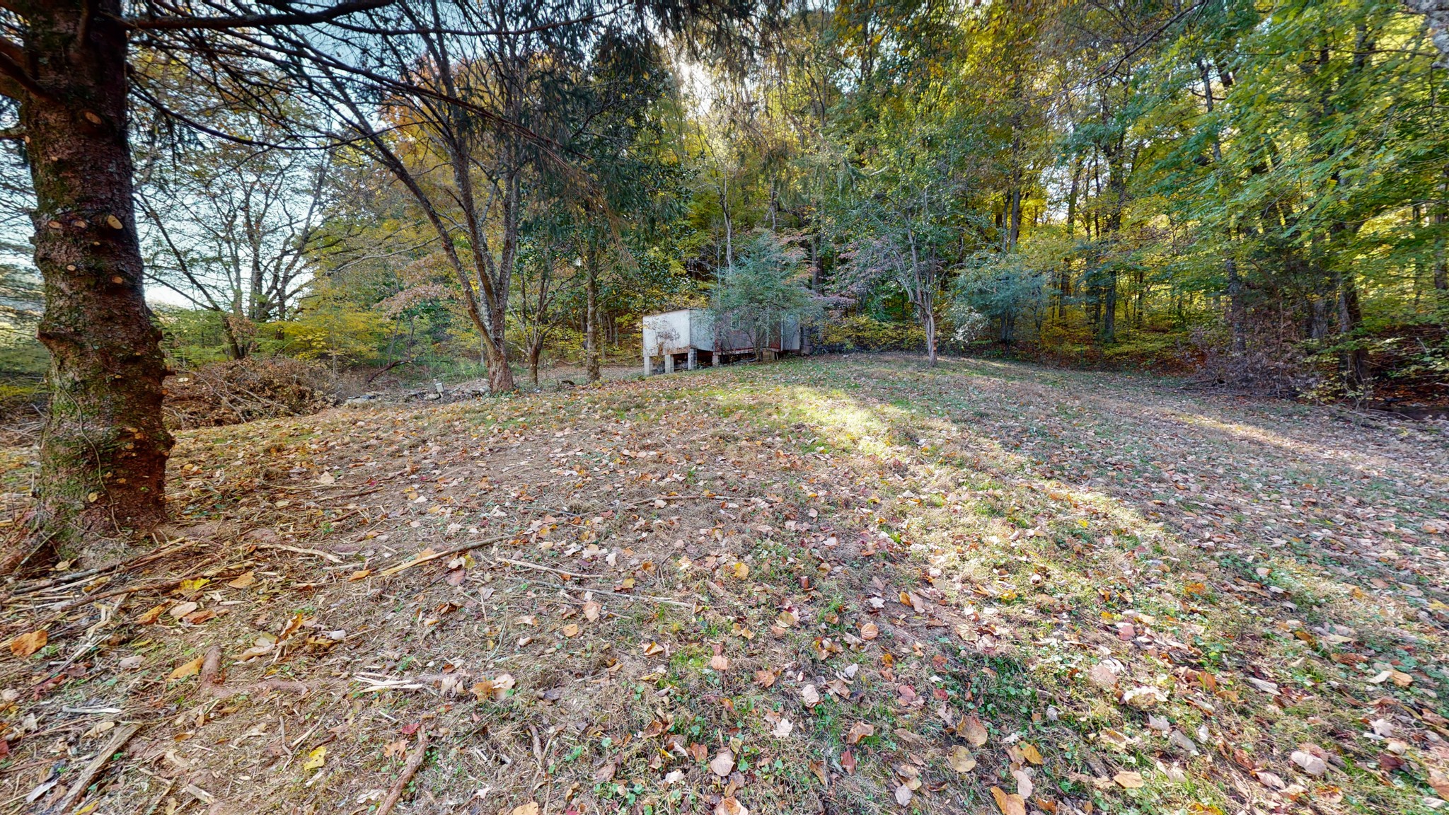 250 Old Smith Hollow Road Pulaski, TN 38478 - Photo 39 of 47