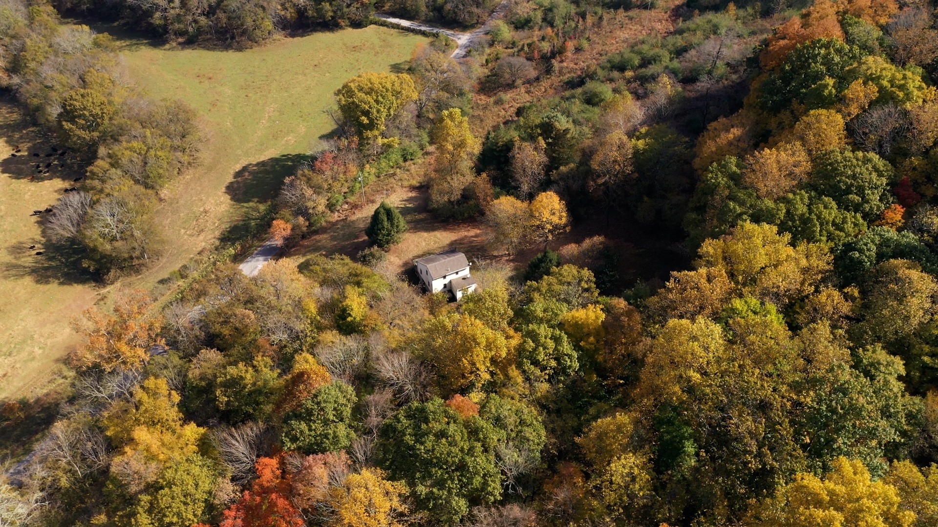 250 Old Smith Hollow Road Pulaski, TN 38478 - Photo 44 of 47