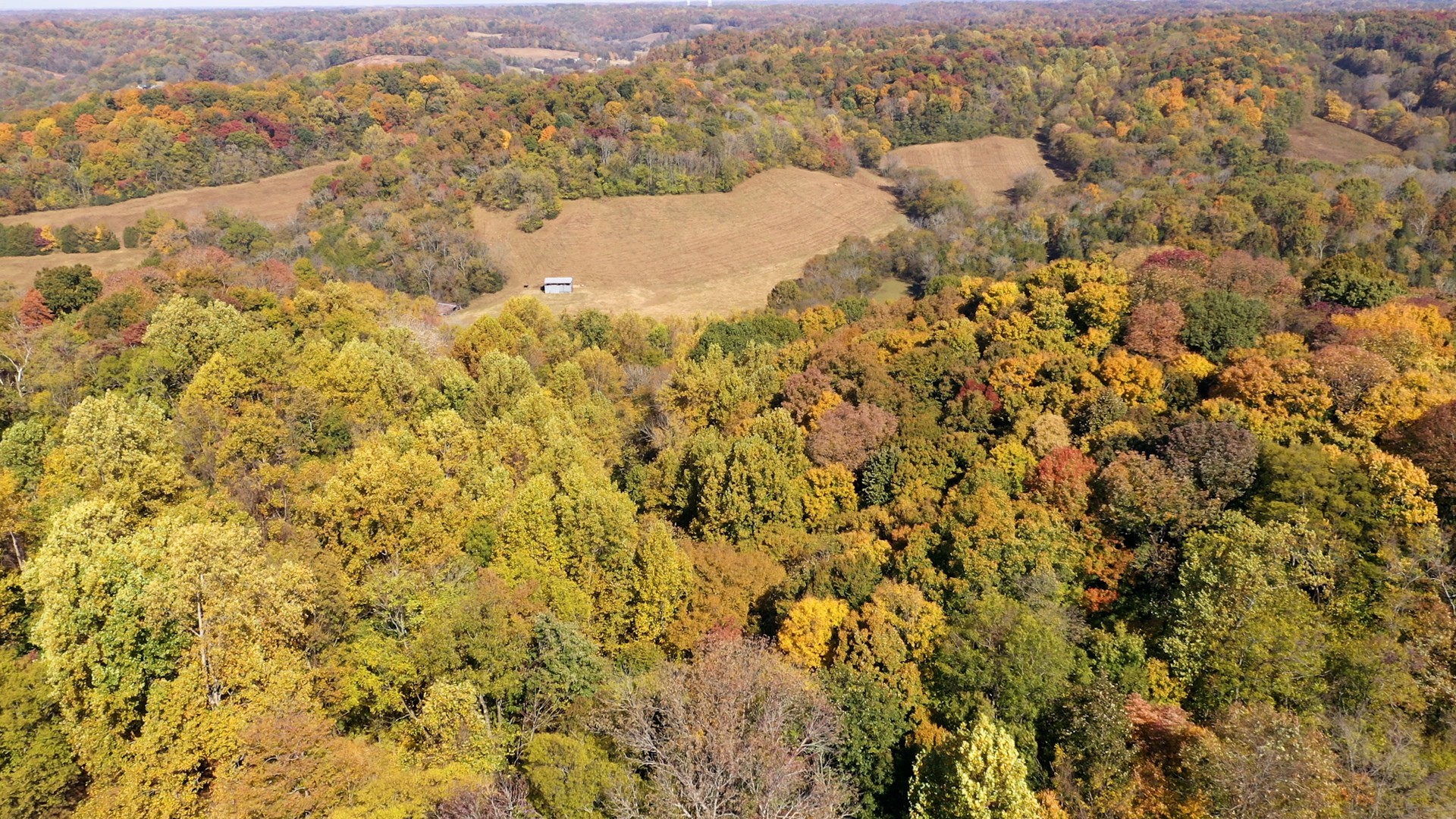 250 Old Smith Hollow Road Pulaski, TN 38478 - Photo 47 of 47