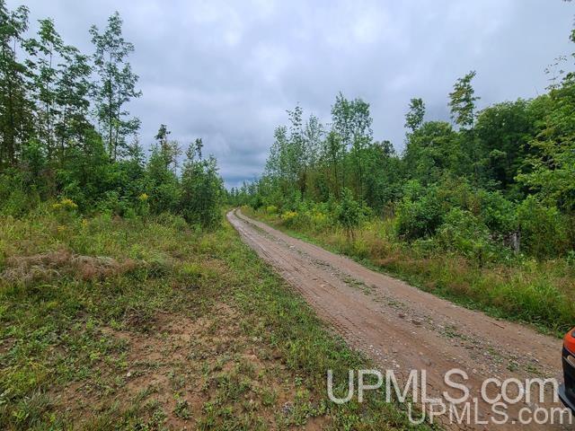 Tbd Bates-Amasa Road Iron River, MI 49935 - Photo 4 of 12