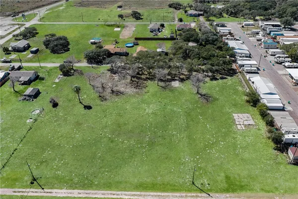 a view of a garden with a lot of trees