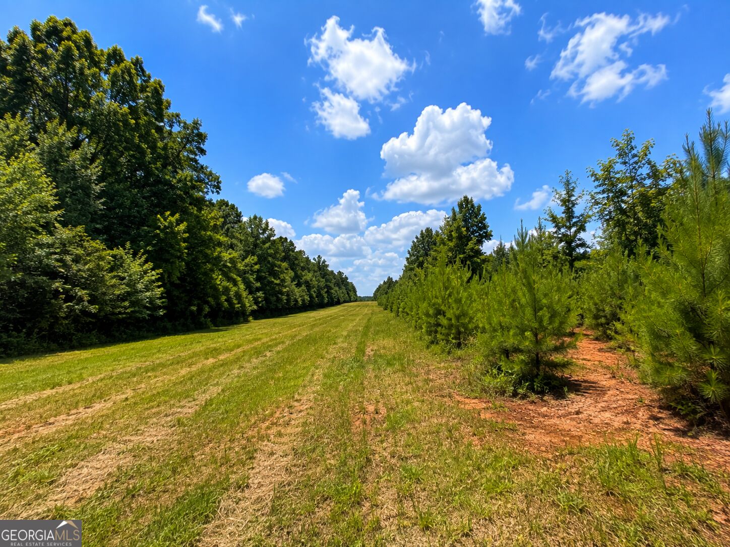 47-acres Cochran Road Madison, GA 30650 - Photo 12 of 22 Gallery Image 12