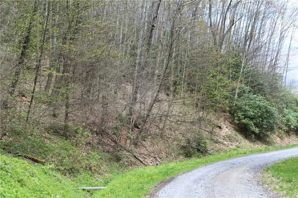 a view of a yard with a trees