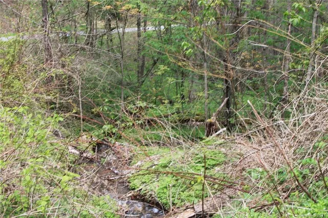 a view of a yard with a tree