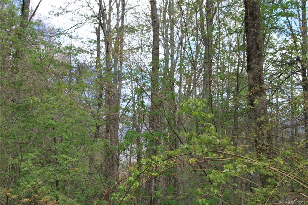 0 Big Spring Trail, Unit 69 Cherokee, NC 28719 - Photo 16 of 20 a view of a yard with a tree