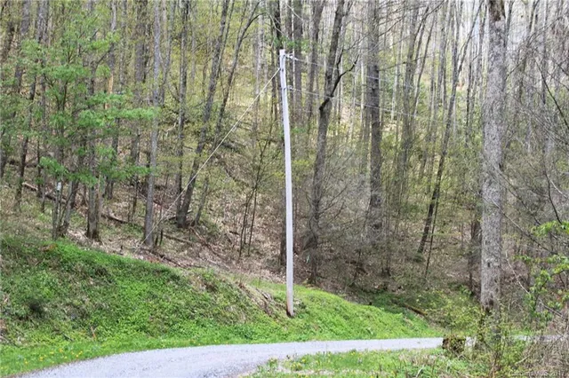 a view of a yard with trees