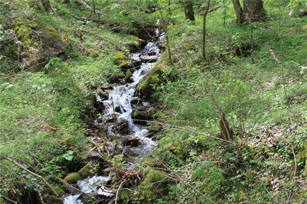 0 Big Spring Trail, Unit 69 Cherokee, NC 28719 - Photo 4 of 20 a view of a forest