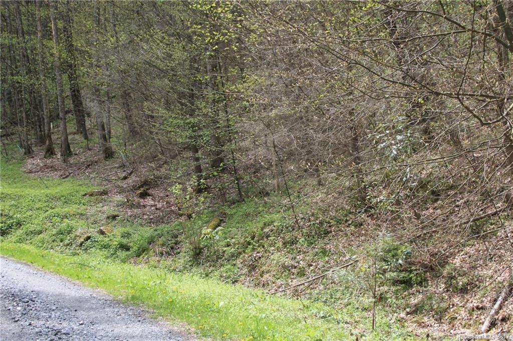 0 Big Spring Trail, Unit 69 Cherokee, NC 28719 - Photo 8 of 20 a view of a forest with a tree