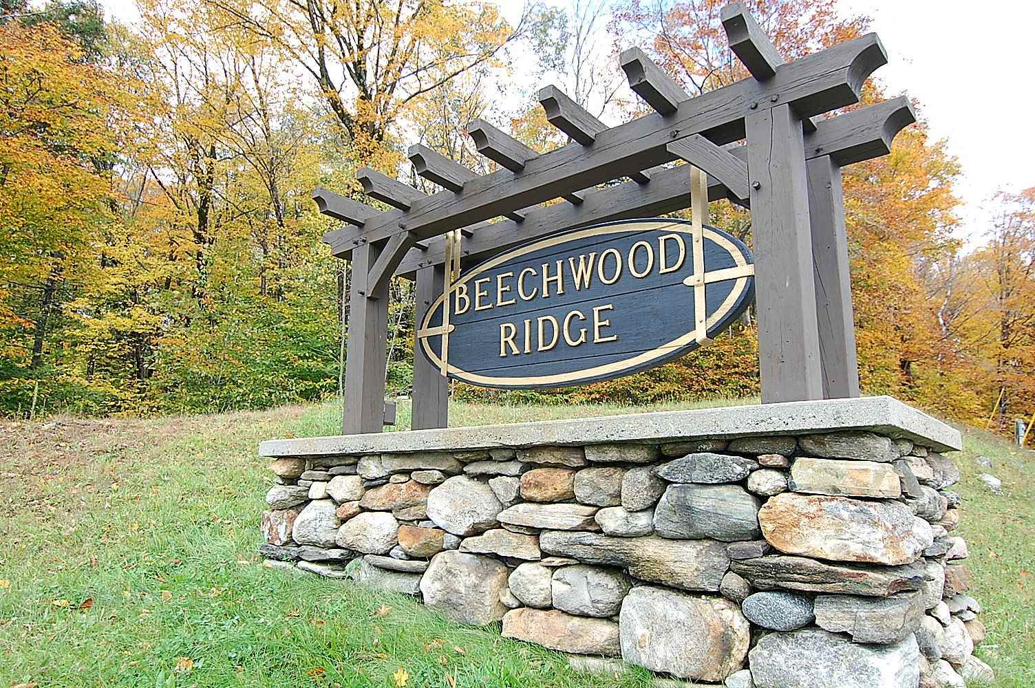 1-3 Beechwood Ridge Road Winhall, VT 05340 - Photo 1 of 6