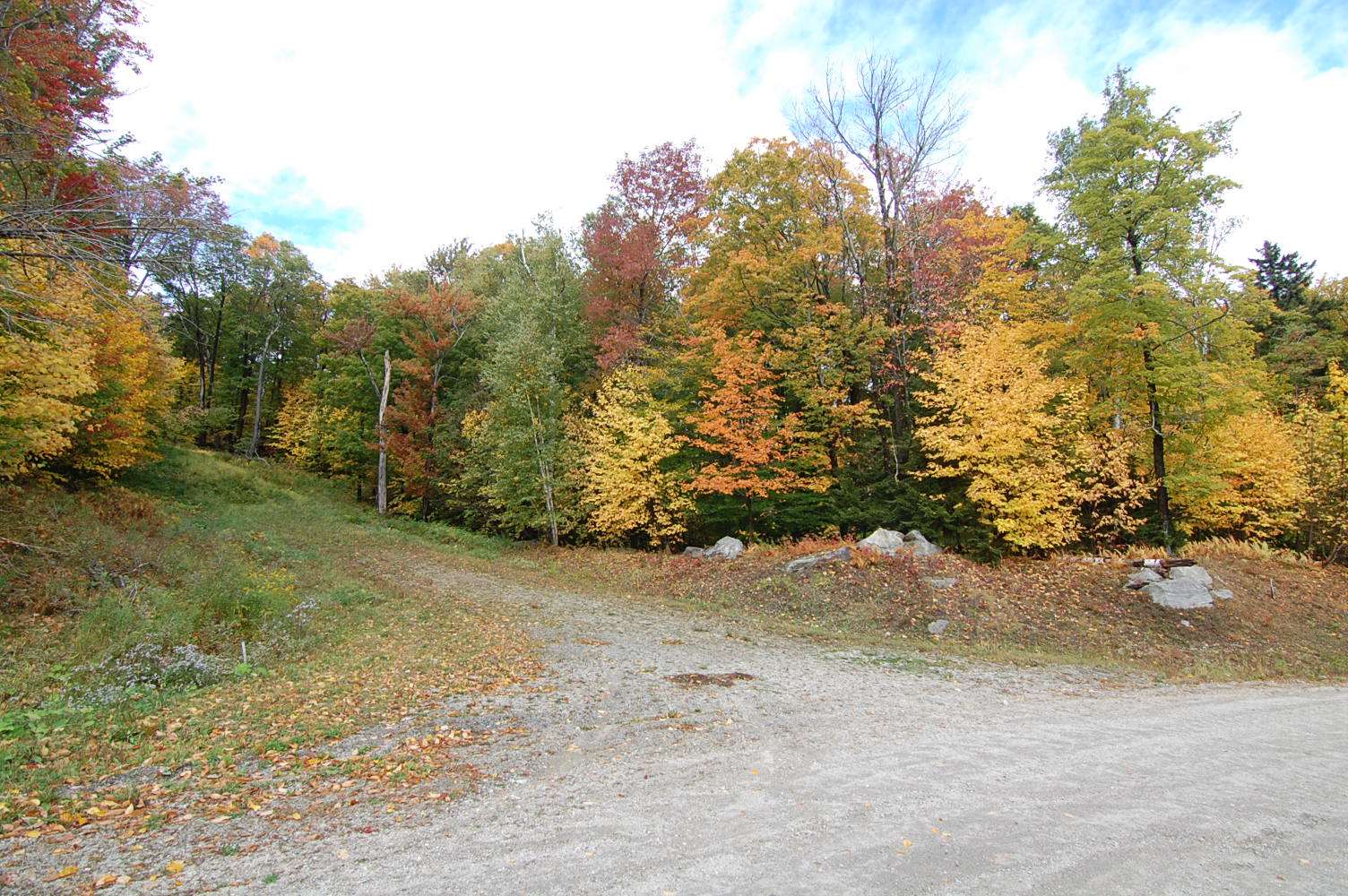 1-3 Beechwood Ridge Road Winhall, VT 05340 - Photo 6 of 6