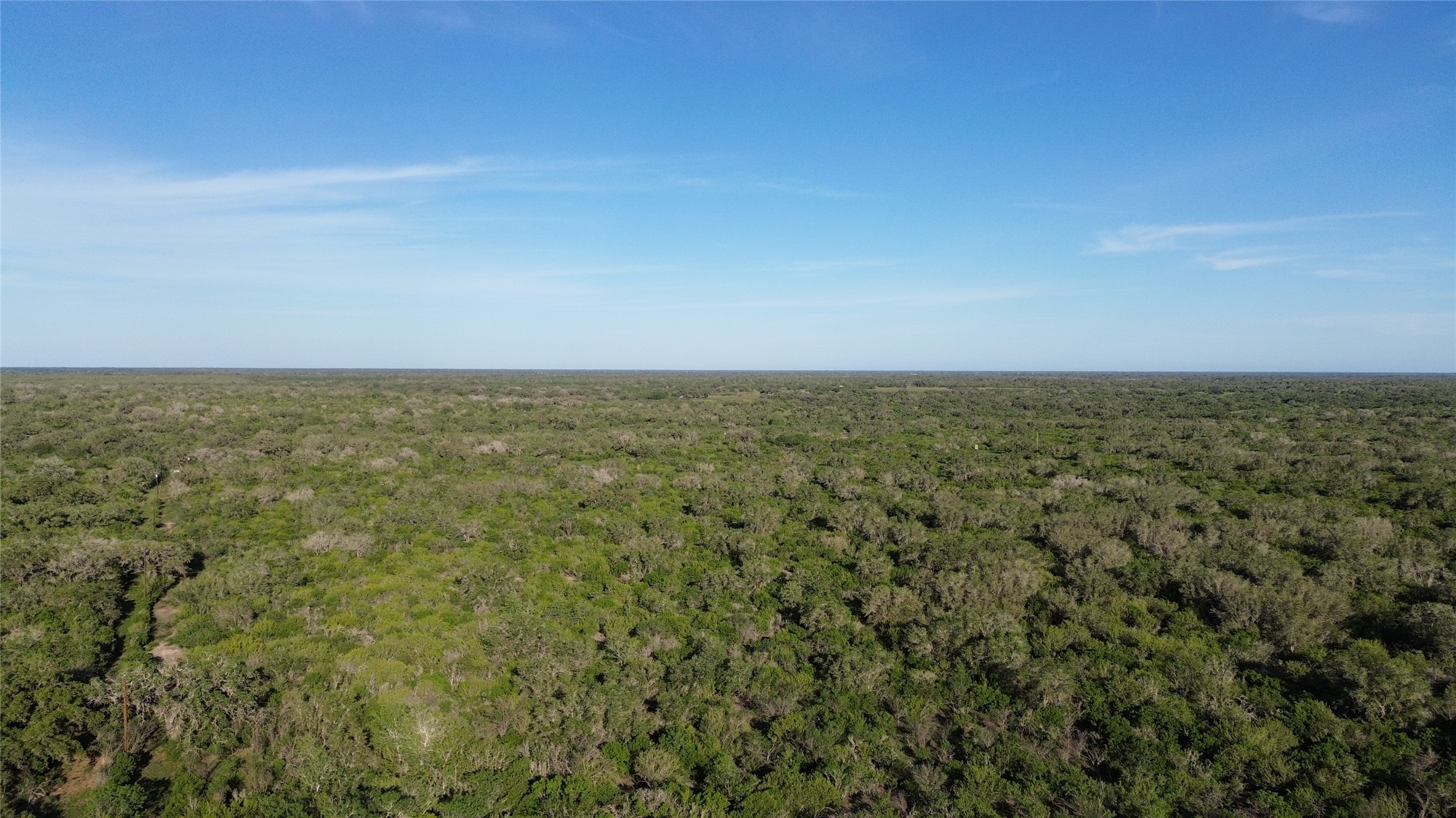 6104 Lucas Road Goliad, TX 77963 - Photo 15 of 32 a view of an ocean