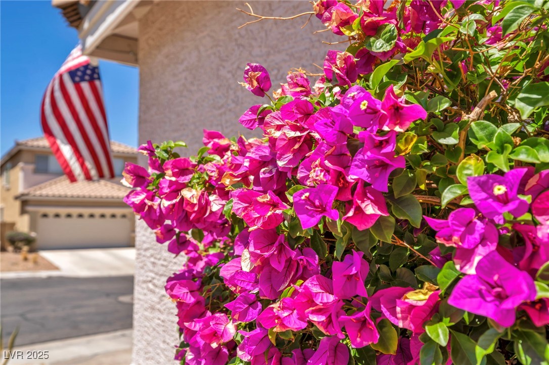 2180 Polynesia Circle Henderson, NV 89074 - Photo 8 of 53 Exterior view of stucco siding and concrete drivew