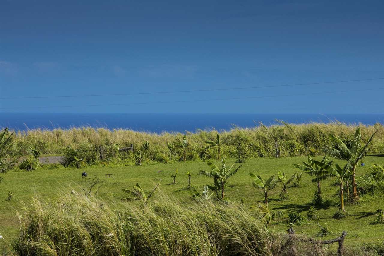 1351 Hookili Road, Unit A Haiku, HI 96708 - Photo 6 of 29 a view of a green field