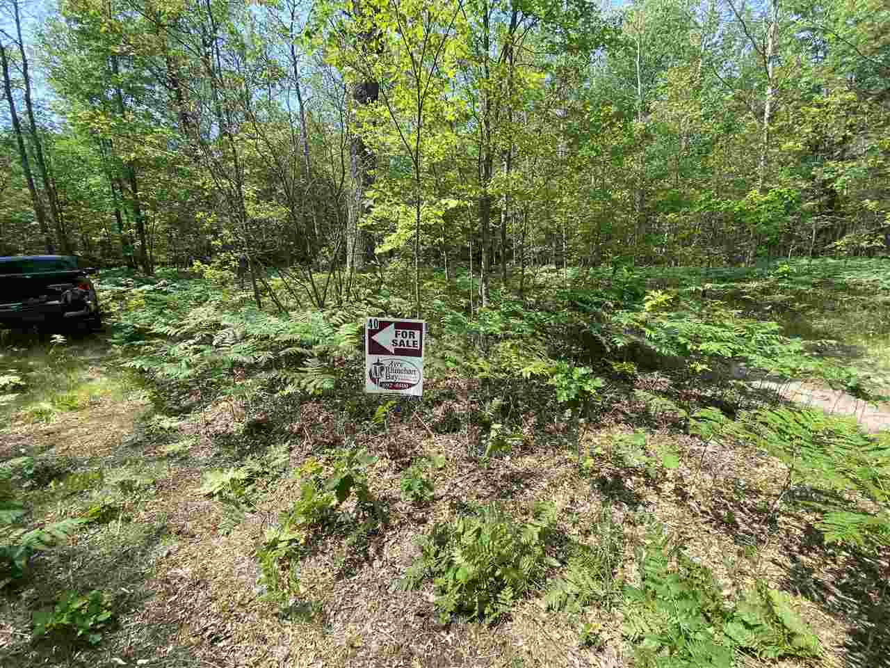 0 Briggs Road Omer, MI 48749 - Photo 29 of 45