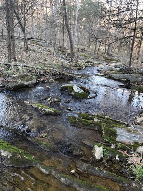 1898 Blacksburg Road Fincastle, VA 24090 - Photo 29 of 30 IMG_1079