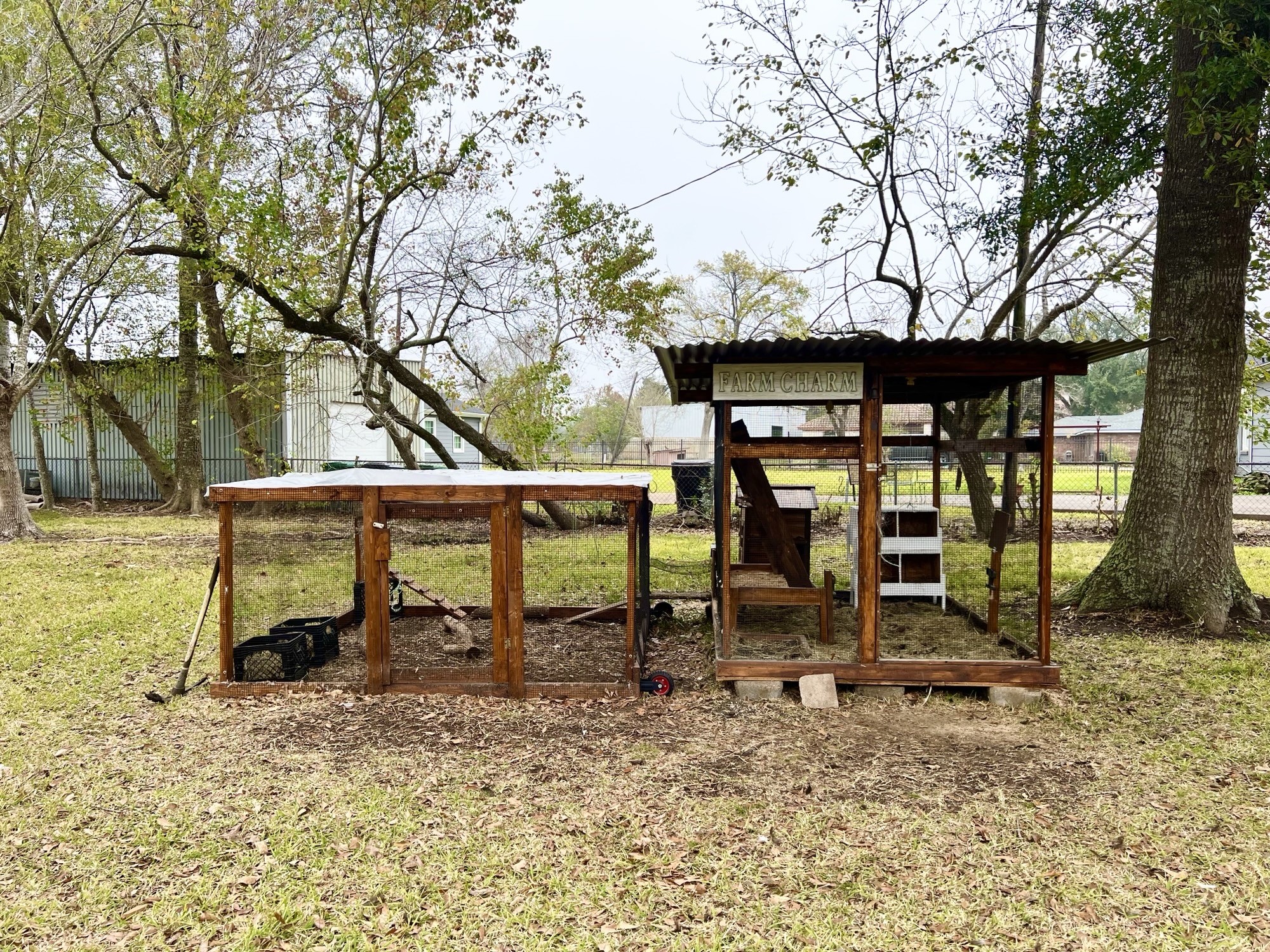 7357 Brace Street Houston, TX 77061 - Photo 24 of 25 5 CHICKENS ALLOWED