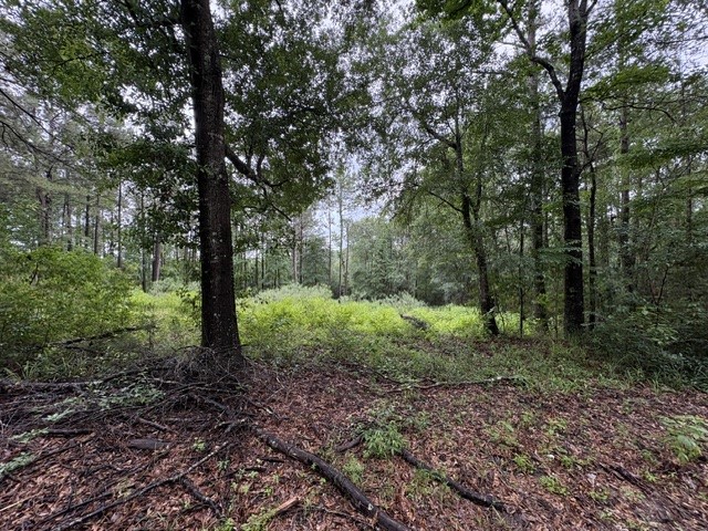 268 Cedar Valley Road Coldspring, TX 77331 - Photo 9 of 29