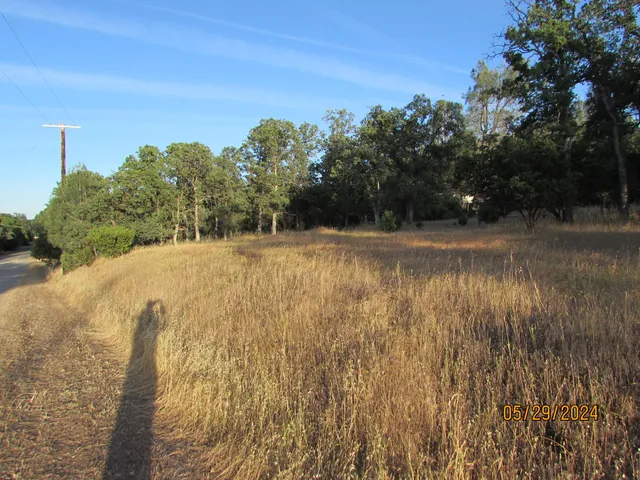a view of yard with trees