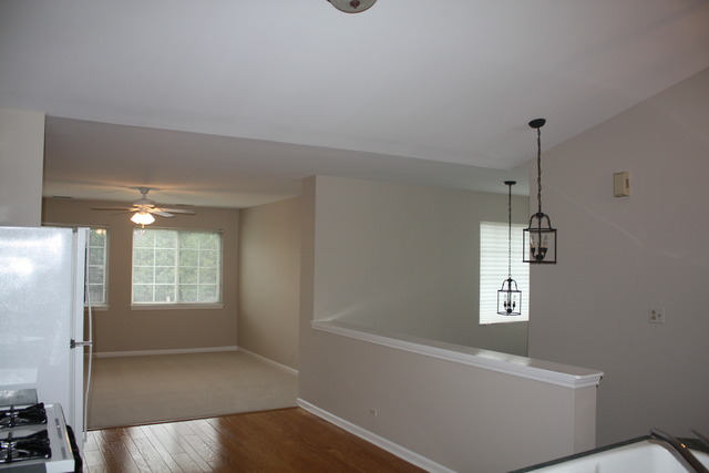 961 Ripple Ridge Cove, Unit 961 Darien, IL 60561 - Photo 10 of 25