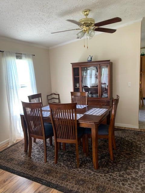 636 Treasure Place Windsor, SC 29856 - Photo 4 of 11