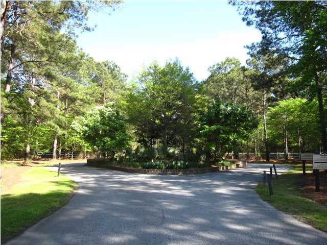 16 Longmarsh Road Awendaw, SC 29429 - Photo 1 of 17 Primary Photo