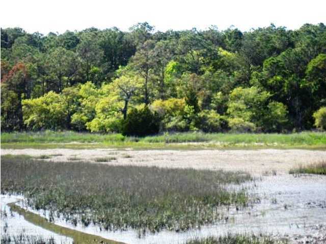 16 Longmarsh Road Awendaw, SC 29429 - Photo 3 of 17 Additional Photo