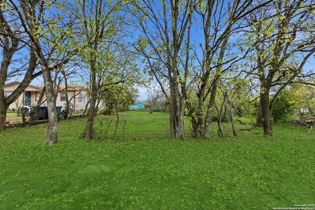 a green field with lots of trees
