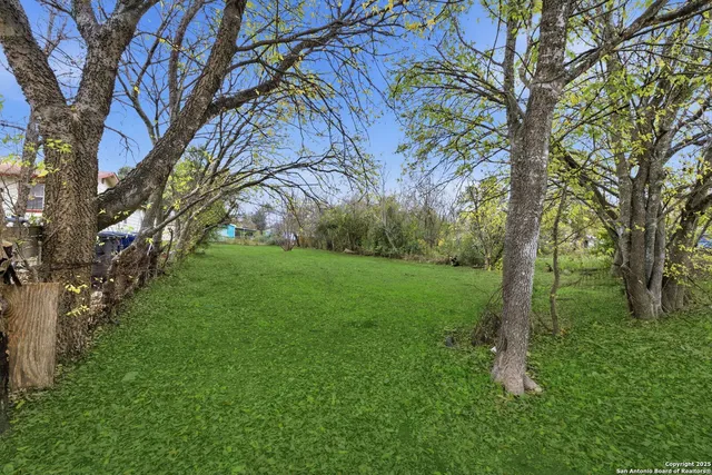 a backyard of a house with lots of green space