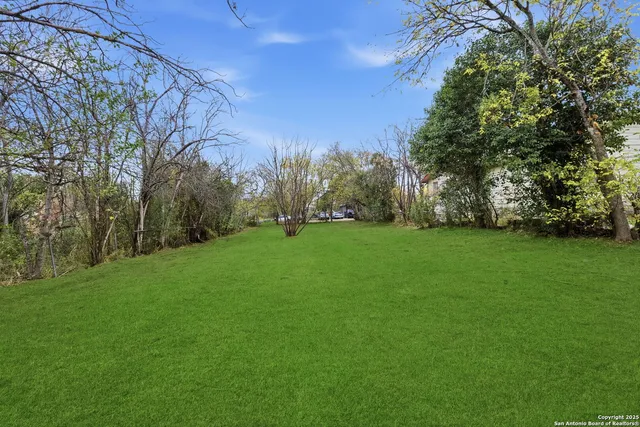 a view of a field of grass and trees