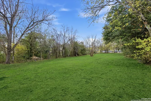 a view of garden view