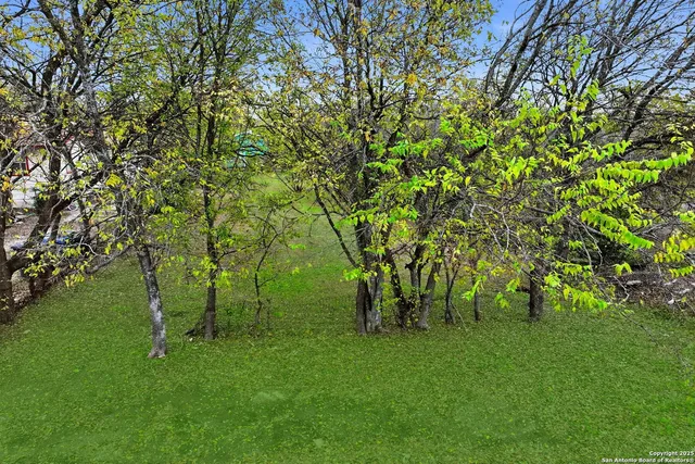 a view of yard with green space