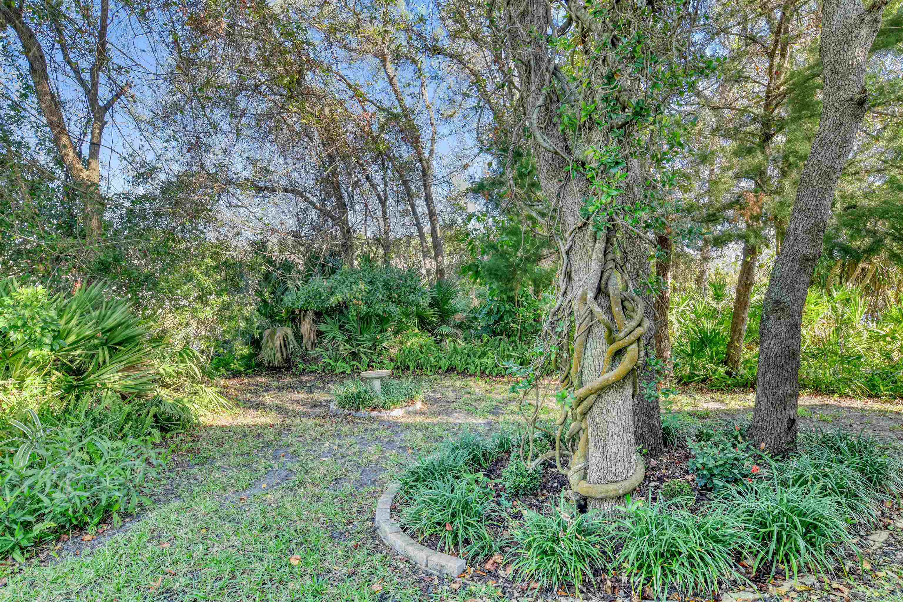 541 Peninsula Court St. Augustine, FL 32080 - Photo 54 of 63 a view of outdoor space and yard