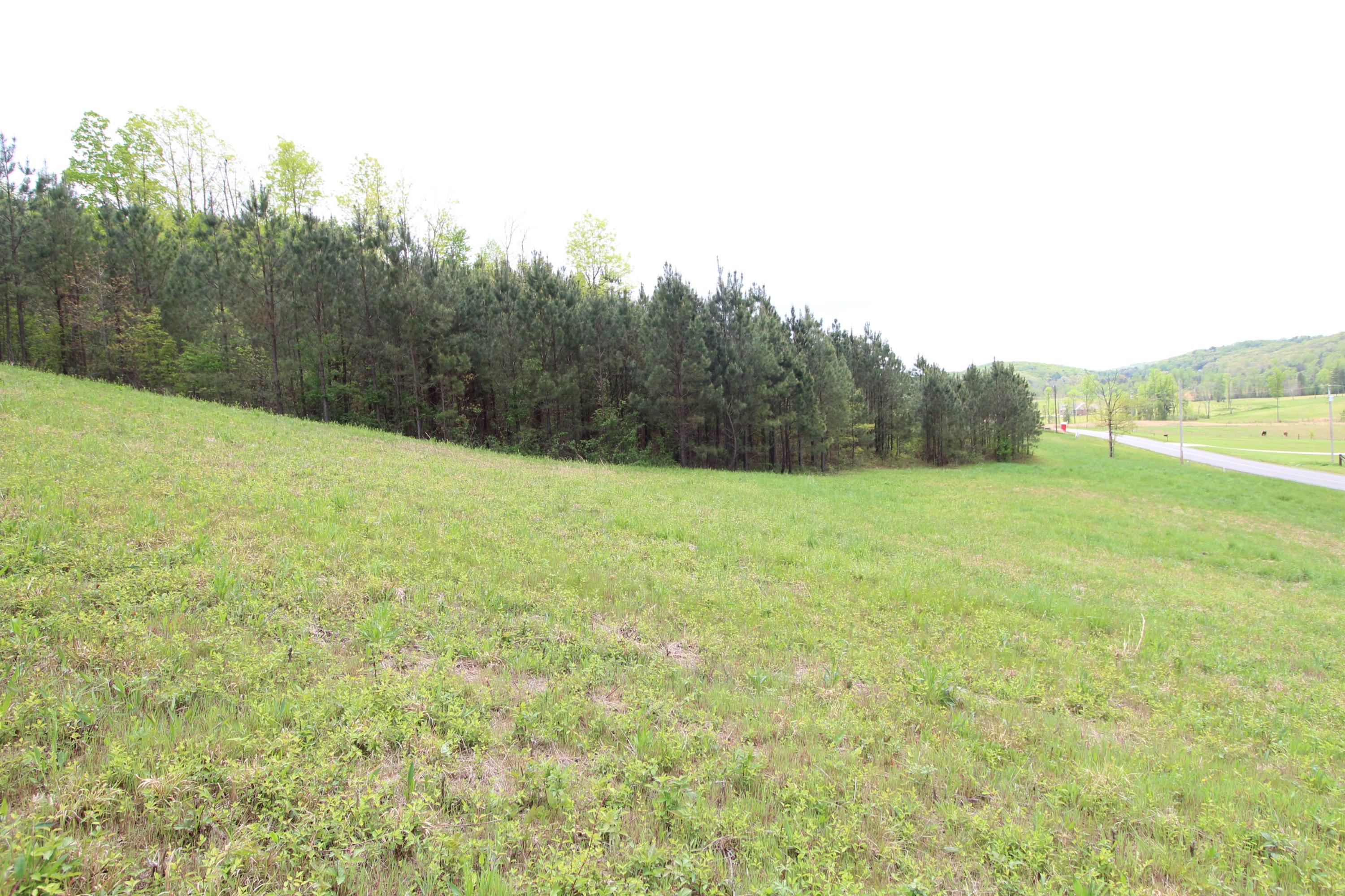 Lot 9 Northwest Van Davis Road Charleston, TN 37310 - Photo 3 of 6 IMG_0421