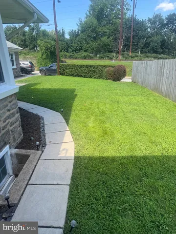 a view of a park with large trees
