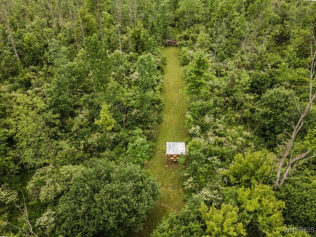 178 Schwartz Road Lancaster, NY 14086 - Photo 37 of 44