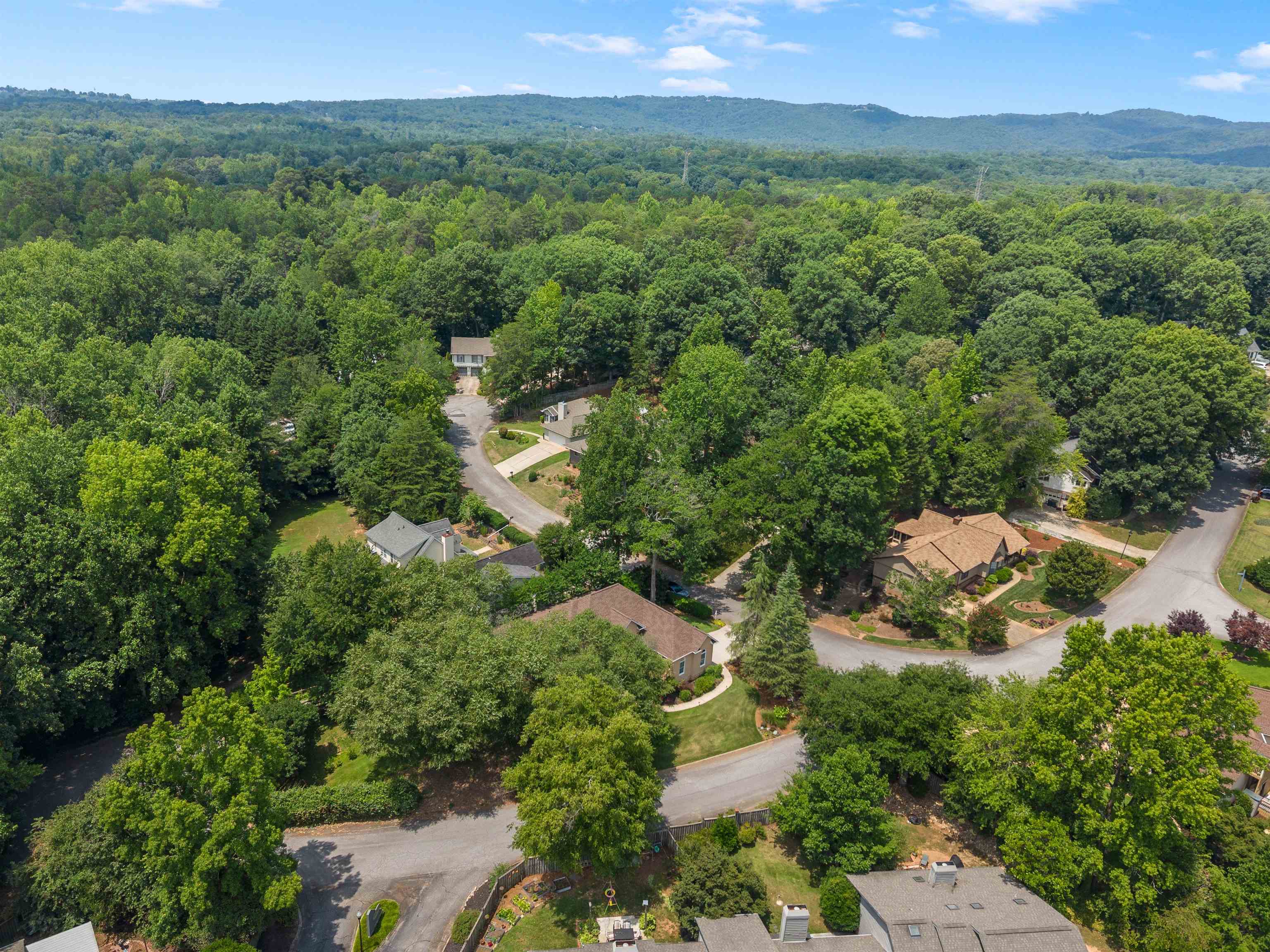 1 Fox Ridge Way Taylors, SC 29687 - Photo 42 of 44