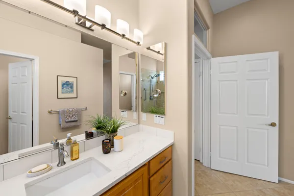 a bathroom with a sink a potted plant and a mirror